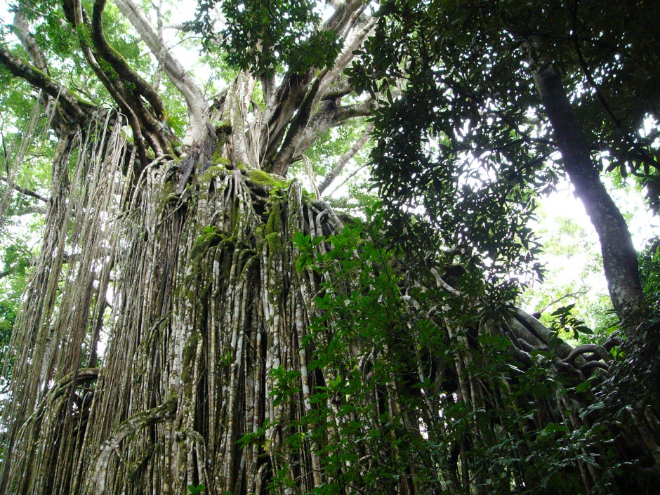cropped-P1000739.jpg